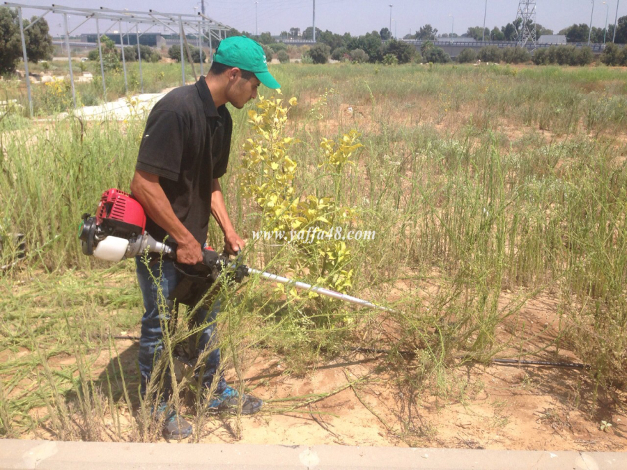 بالفيديو: الهيئة الاسلامية تُباشر بتنفيذ مشروع لتنظيف مقبرة "طاسو" بيافا استجابة لرسالة أحد المواطنين